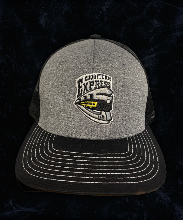 Express Logo Snapback