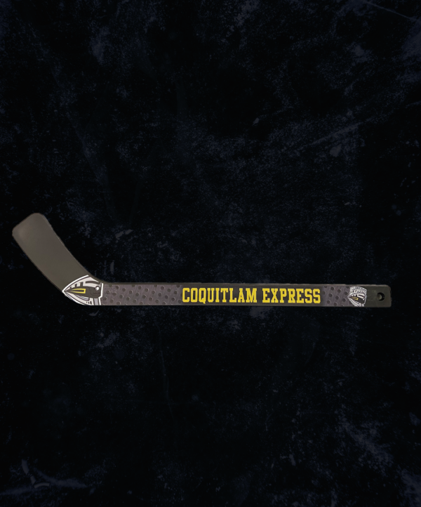 Express Mini Stick